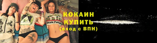 стаф Богородицк