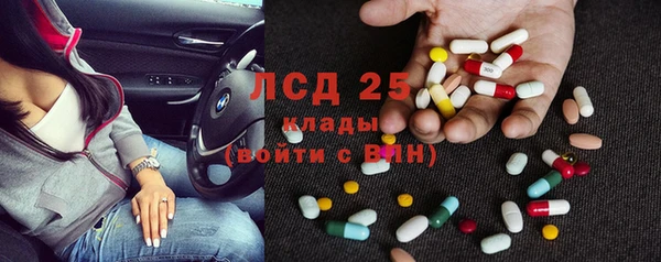 стаф Богородицк