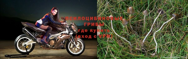 Альфа ПВП Богородск