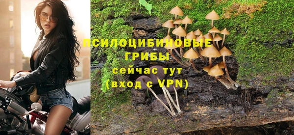 Альфа ПВП Богородск