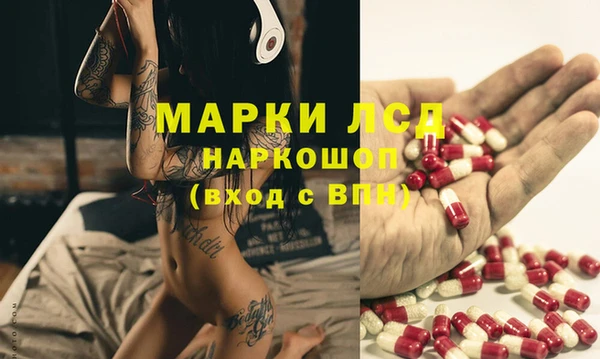 стаф Богородицк