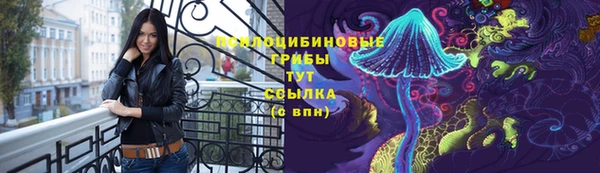 Альфа ПВП Богородск